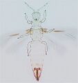 Thumbnail for version as of 02:11, 22 April 2013