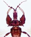 Thumbnail for version as of 02:35, 22 April 2013