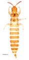 Thumbnail for version as of 01:23, 22 March 2013