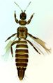 Thumbnail for version as of 00:51, 25 March 2013