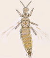 Thumbnail for version as of 02:19, 22 April 2013