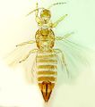 Thumbnail for version as of 00:23, 25 March 2013