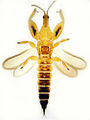 Thumbnail for version as of 03:52, 26 March 2013