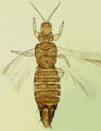 Thumbnail for version as of 01:10, 26 July 2012
