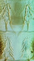Thumbnail for version as of 22:19, 23 April 2013