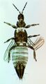 Thumbnail for version as of 00:18, 25 March 2013