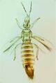 Thumbnail for version as of 00:19, 25 March 2013