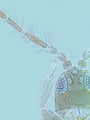 Thumbnail for version as of 22:16, 23 April 2013