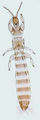 Thumbnail for version as of 03:05, 22 April 2013
