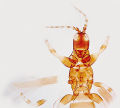 Thumbnail for version as of 02:36, 22 April 2013