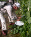 Thumbnail for version as of 01:09, 25 March 2013