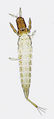 Thumbnail for version as of 03:25, 22 April 2013